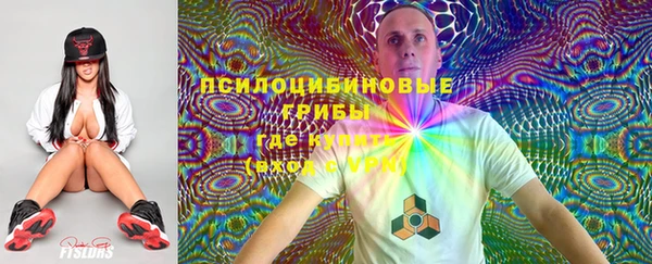 ECSTASY Абаза