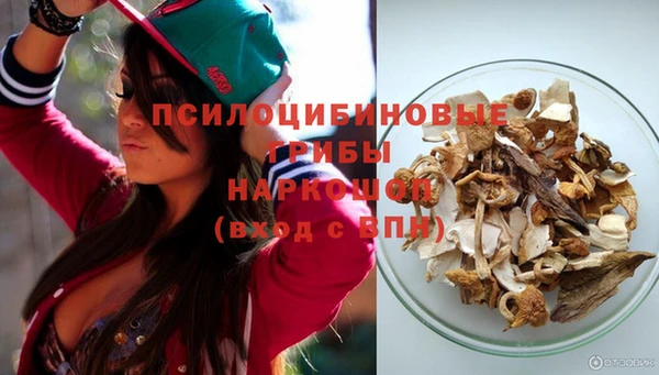 ECSTASY Абаза