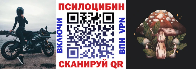 KRAKEN зеркало  Ермолино  Псилоцибиновые грибы Psilocybine cubensis 